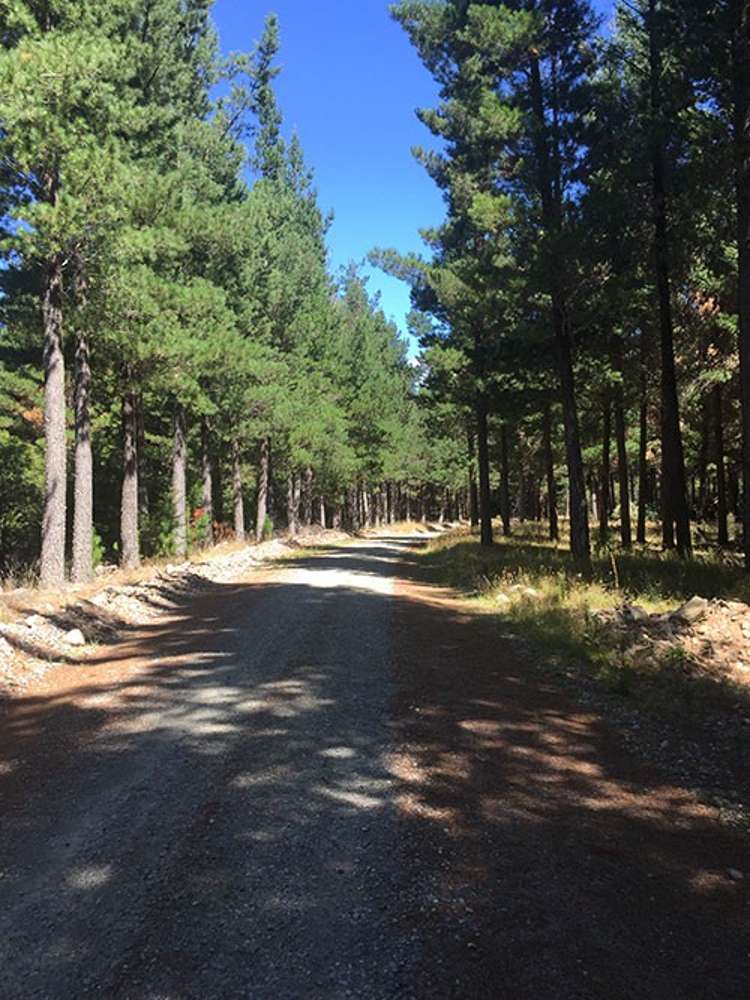 State Highway 63 Renwick_3