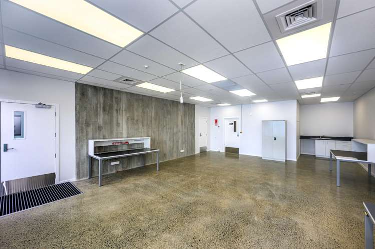 6B Topere Way Westgate_12