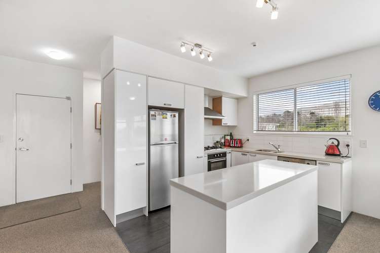 11a Birdwood Crescent Parnell_5