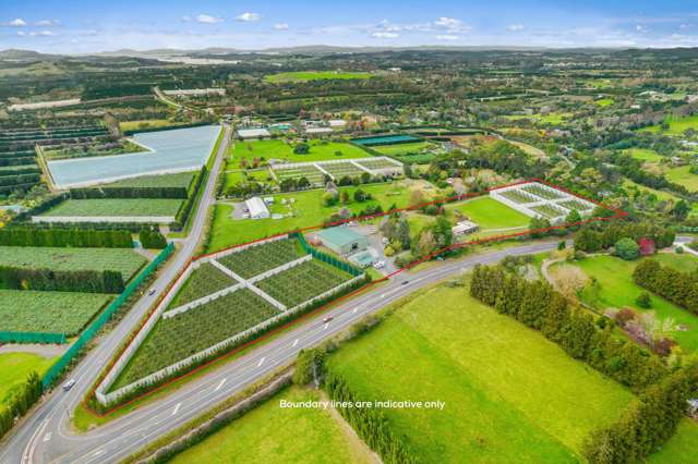 Tenanted by Manuka Health + Kiwifruit Orchard  