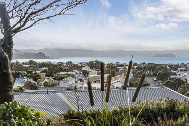 41A Mantell Street Seatoun_2