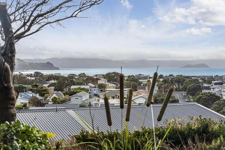 41A Mantell Street Seatoun_1