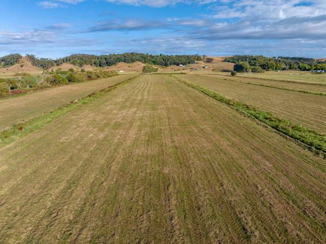 229 Wily Road Puni_4