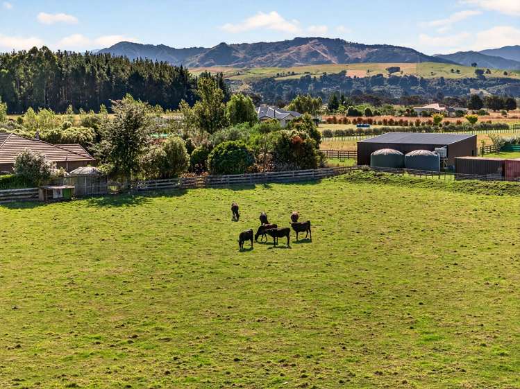 46 Jordan Road Waingawa_25