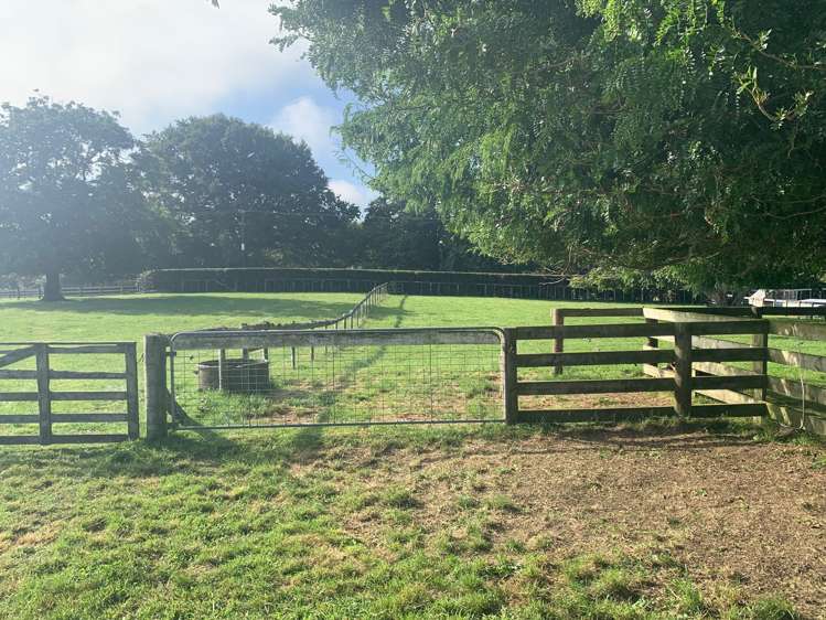 211 Tower Road Matamata_1