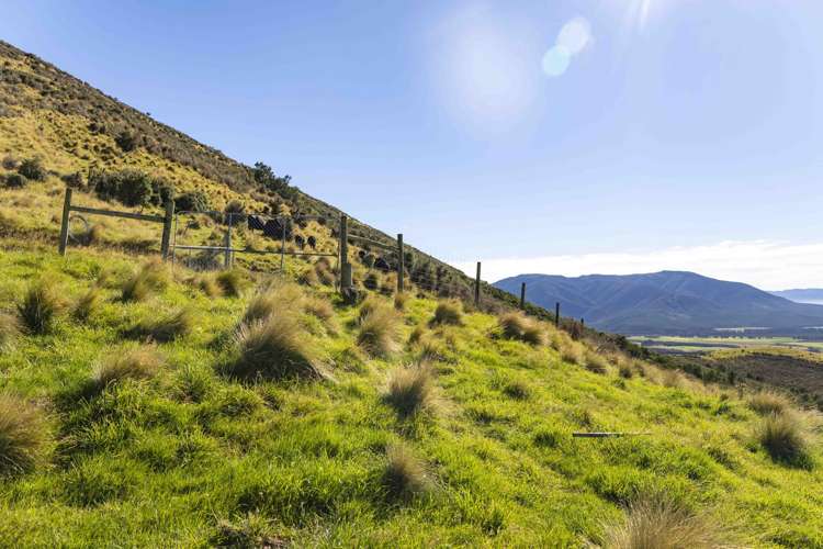 103 Glentui Bush Road Oxford_30