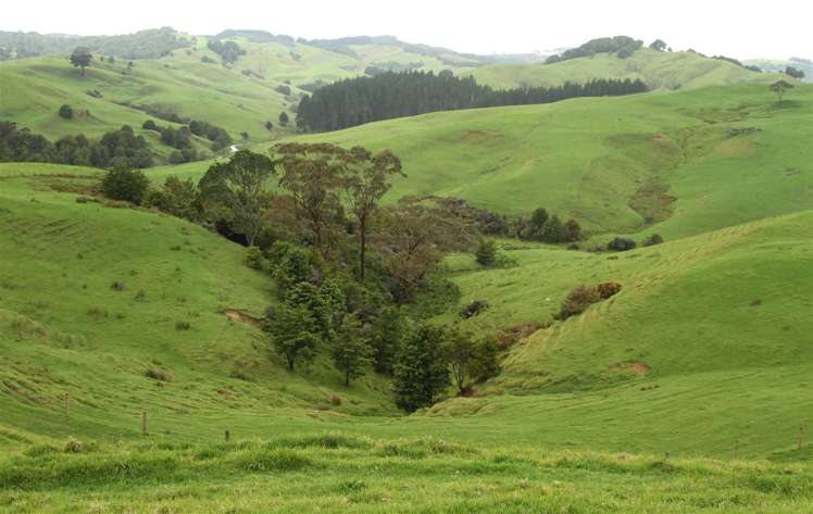 State Highway One Taupo_9