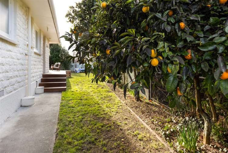 11 Litchfield Street Redwoodtown_24