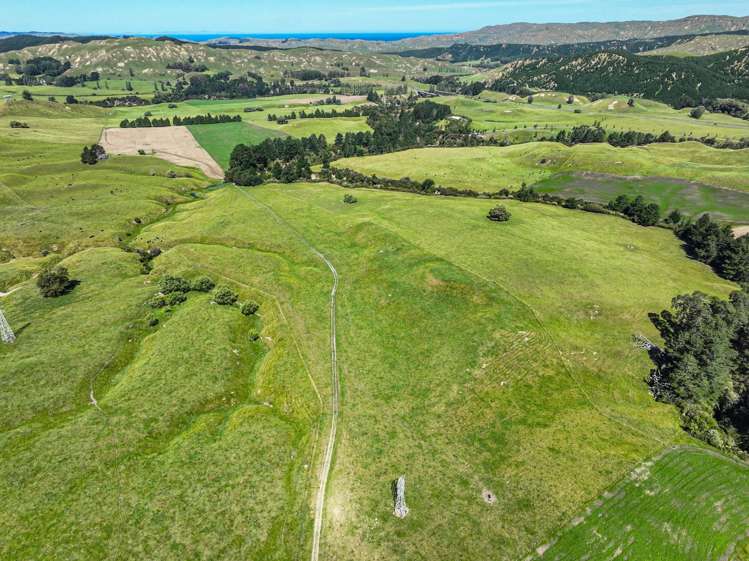 4551 Wairoa Road Tutira_6