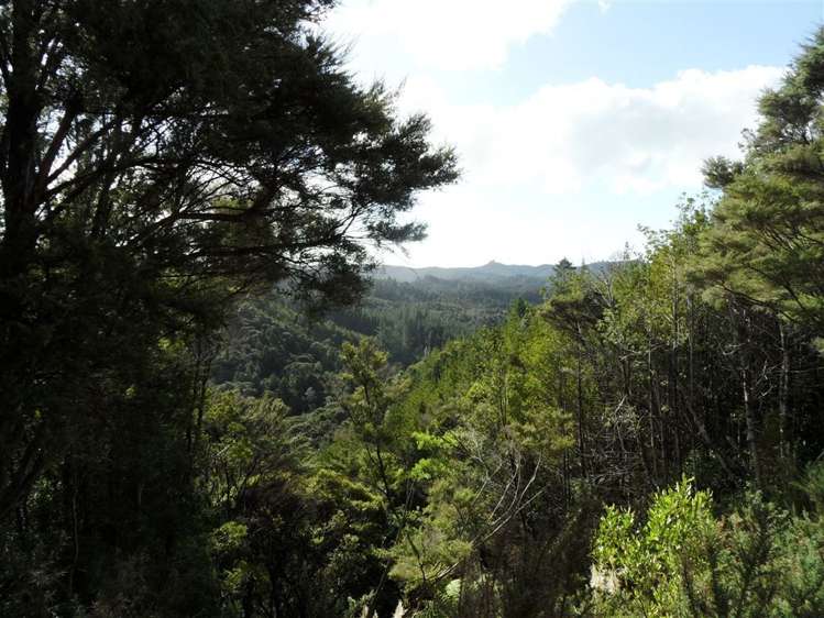 Paihia Road Paihia_4