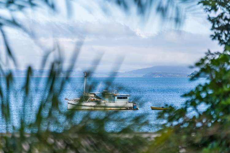 1950 Whangarei Heads Road Whangarei Heads_23