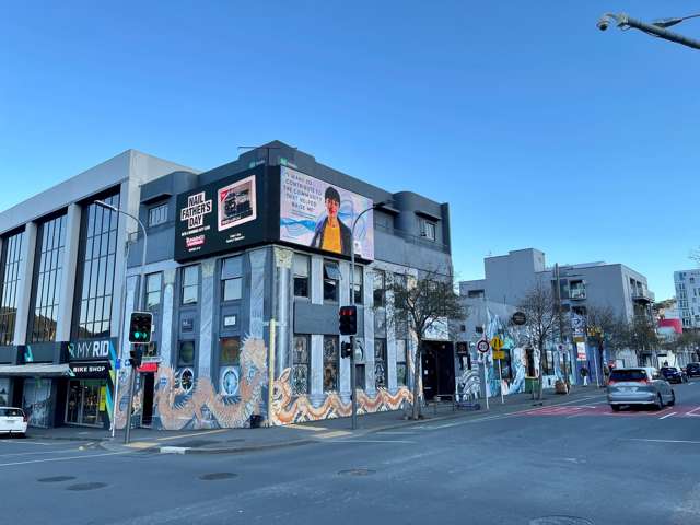 187 Vivian Street Te Aro_1