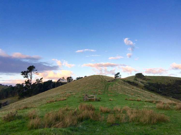 190 Pacific Ocean, Slipper Island (Whakahua) Thames_54