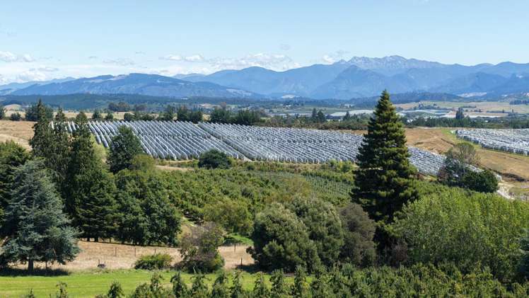 Lot 1/86 Eden Road Tasman_10