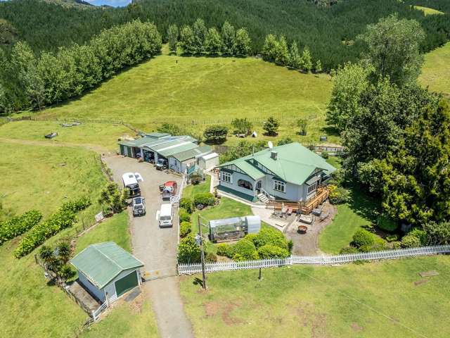 Hunters, Horses, Cattle, Calf Rearing Paradise