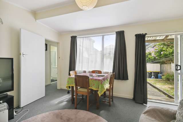 66 Elizabeth Street Mount Victoria_4