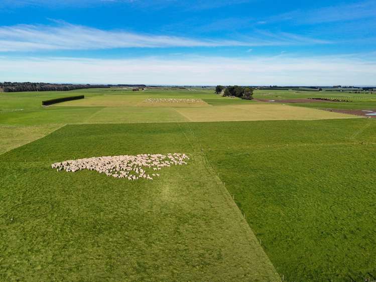 677 Waituna Road Wyndham Surrounds_3