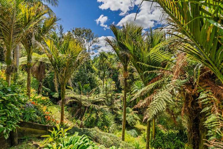 43z Blue Gum Lane Kerikeri_21