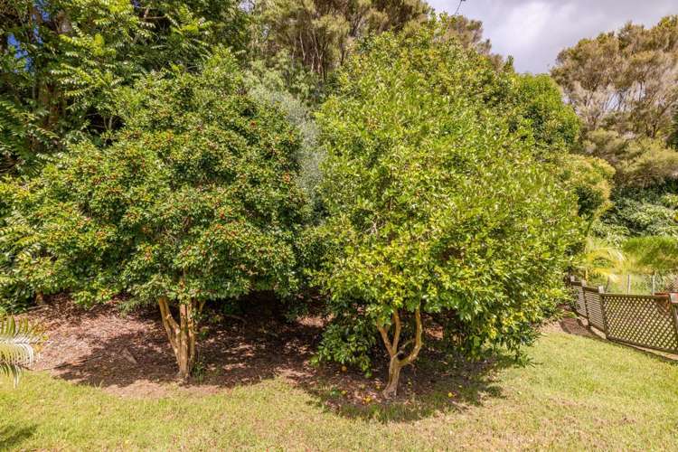 105 Yorke Road Haruru_28