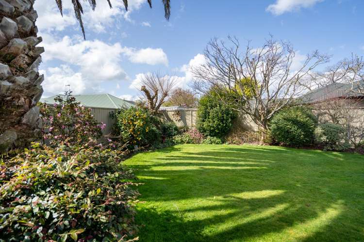 14 Alba Place Cambridge_20