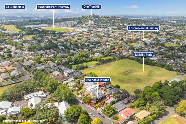 16a Kohia Terrace Epsom_35