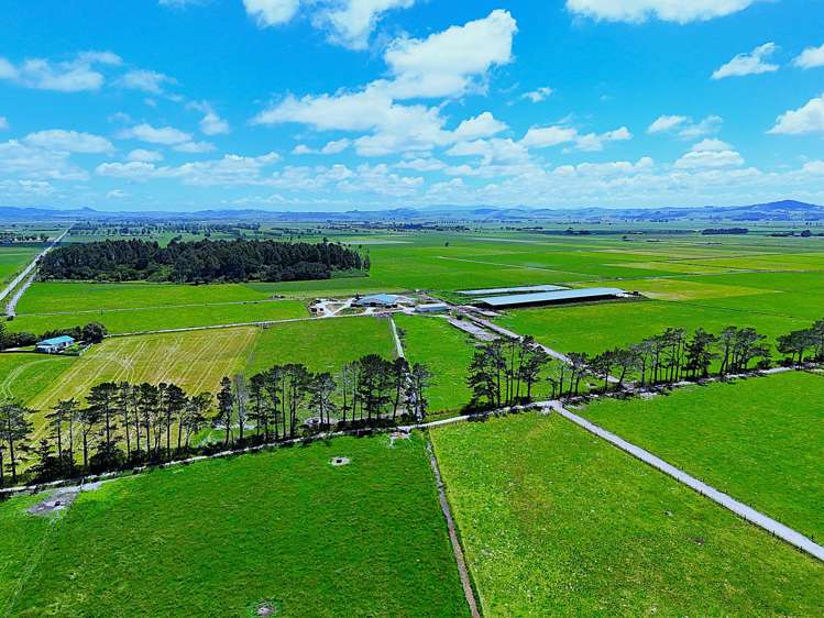 331 Simpson Road Ruawai_23