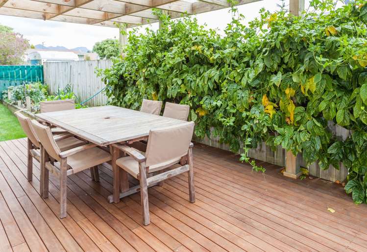 303b Mary Road Whangamata_34