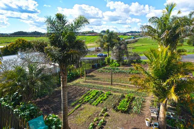 116 Ngahere Road Pukekohe_2