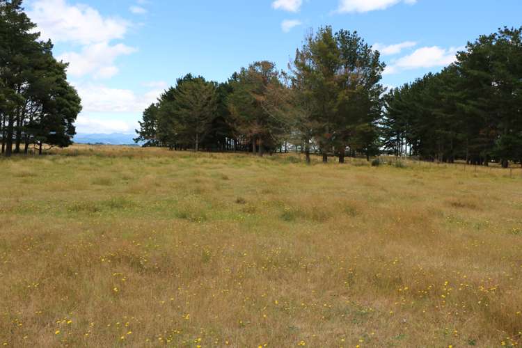 266 Wall Road Foxton_4