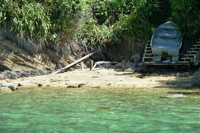 Arthurs Bay Kenepuru Sound_3