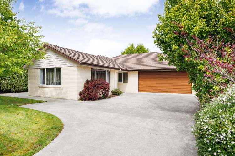 97 Worcester Street Ashhurst_19