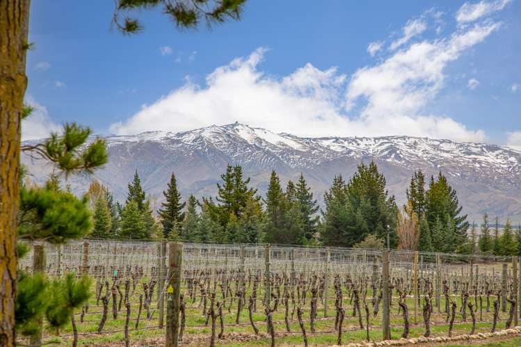 236 Letts Gully Road Alexandra_24