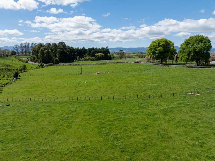 243C Matai Road Matamata_28