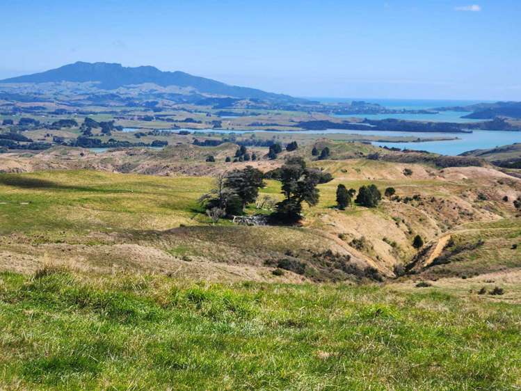 319 Ohautira Road Raglan_11