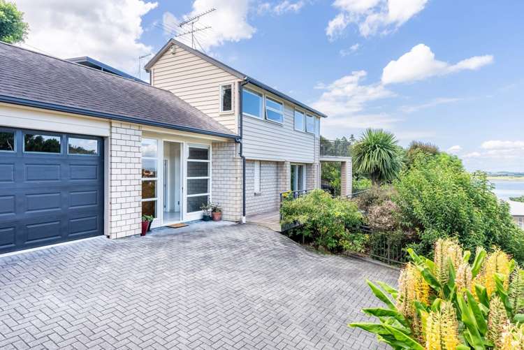 65 Frederick Street Hillsborough_0