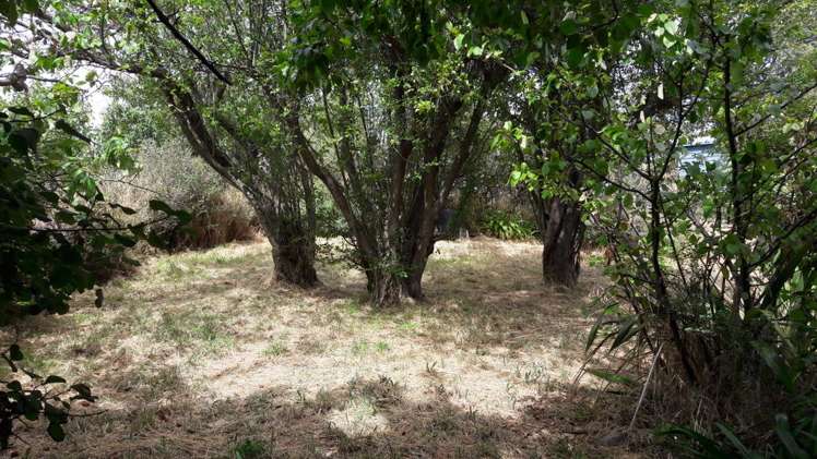 11 Purau Avenue Diamond Harbour_10