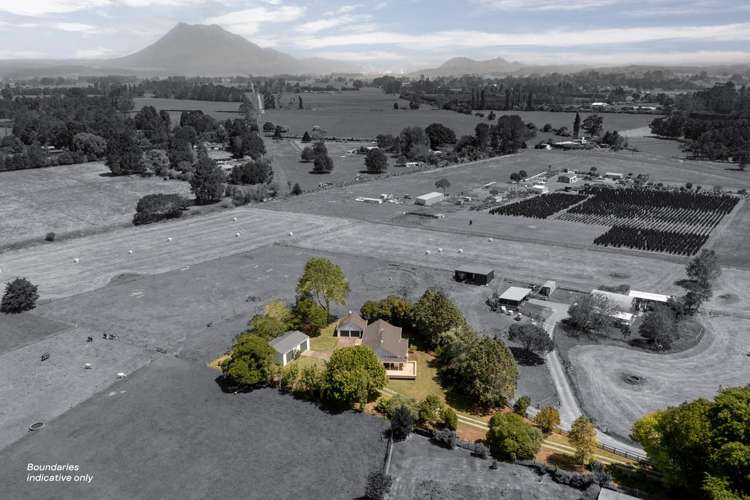 323A Hallett Road Otakiri_27