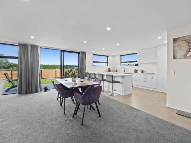 45 Ashbury Drive Tinwald_4