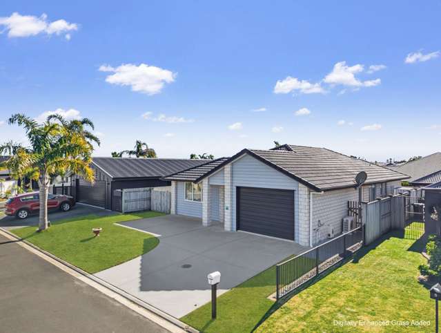 3 Celmisia Retreat Papamoa Beach_2