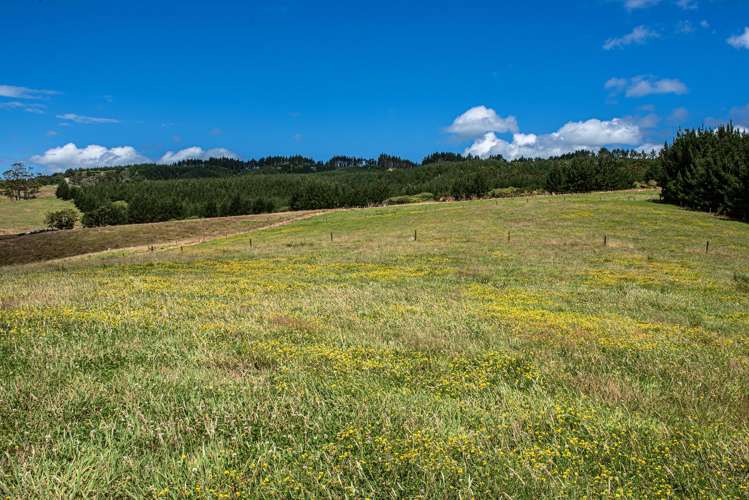 436A Glenmohr Road Waipu_47