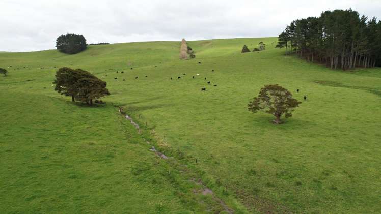 3902 State Highway 12 Dargaville Surrounds_3