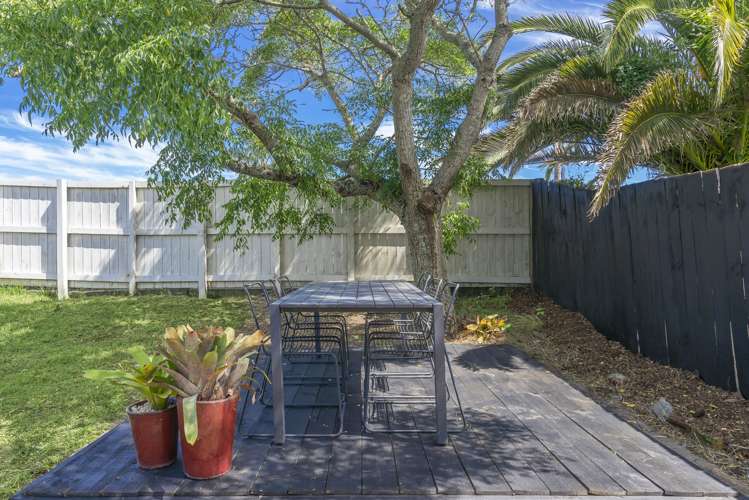 294 Mount Albert Road Sandringham_20