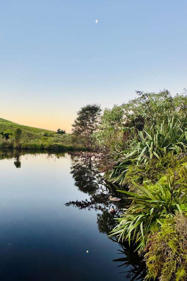 152 Turner Road Whakamarama_4