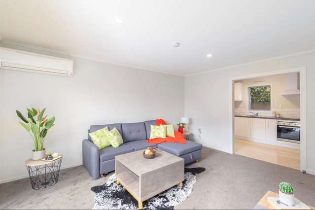 3/53 Mathesons Road Phillipstown_2