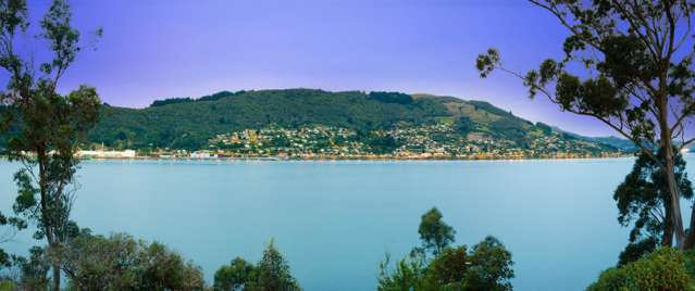 297 Portobello Road The Cove_2