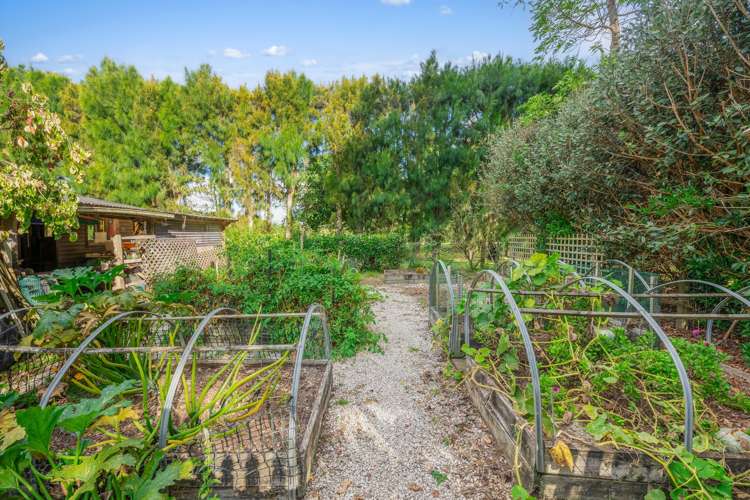 21 Bassett Road Mauku_26