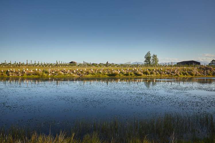 212 Selmes Road Rapaura_11