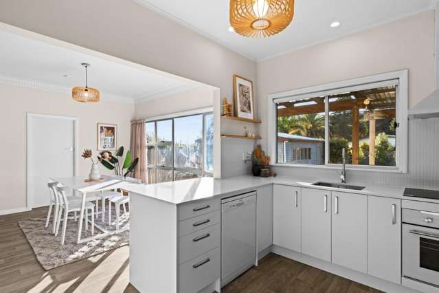 37 Sanders Avenue Marewa_1