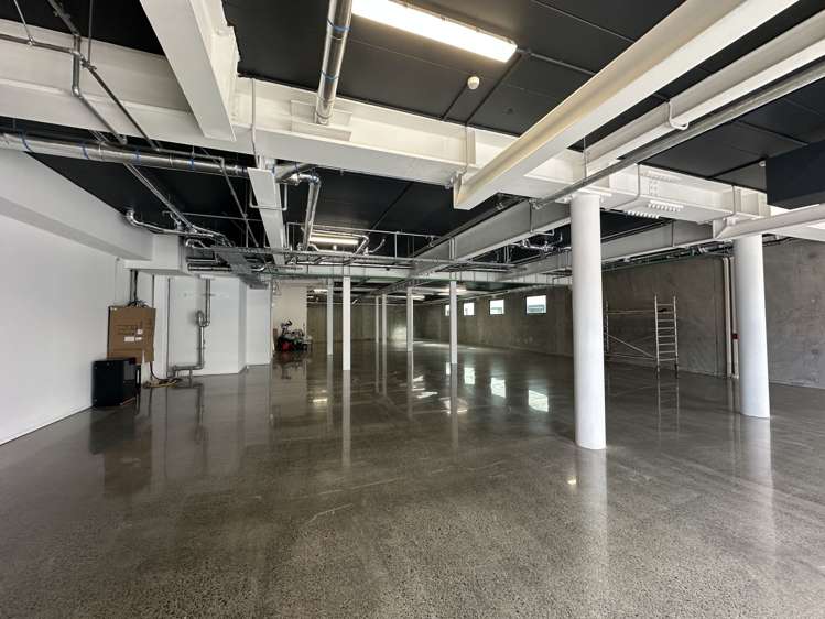 4-8 Rose Road Ponsonby_1