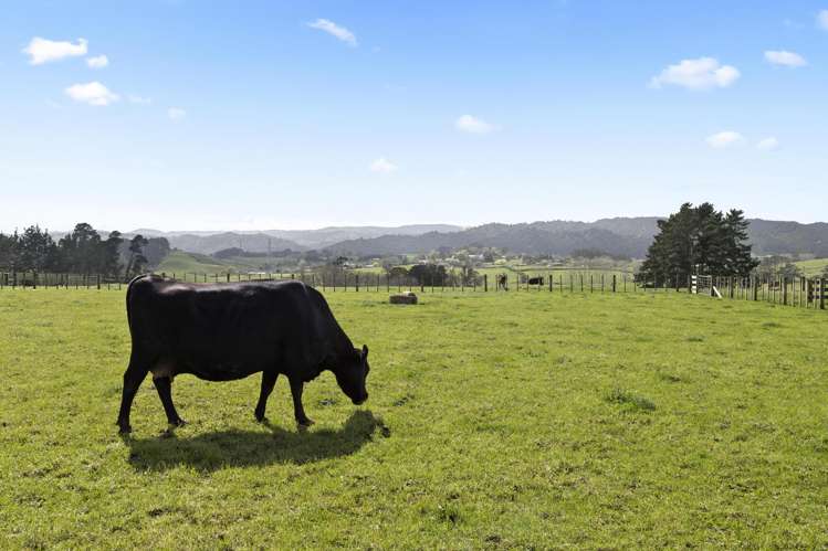 133 Heald Road Hunua_13